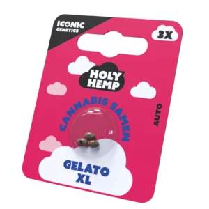 Gelato_XL_Cannabissamen_Frontansicht.webp