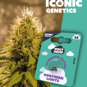 Iconic Genetics - Northern Lights (3 Cannabissamen)
