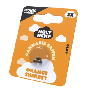 Orange_Sherbet_Cannabissamen_Frontansicht.webp
