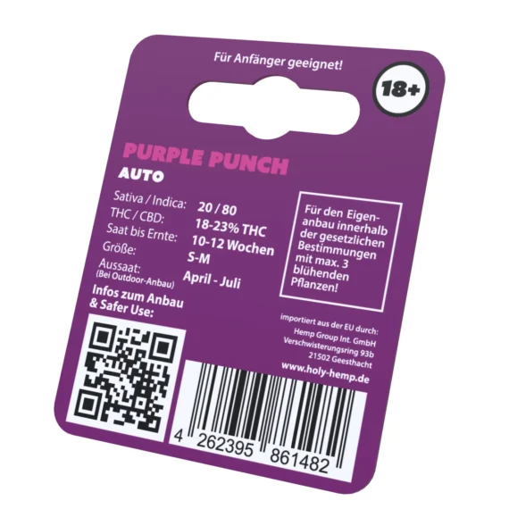 Iconic Genetics - Purple Punch (3 Cannabissamen)