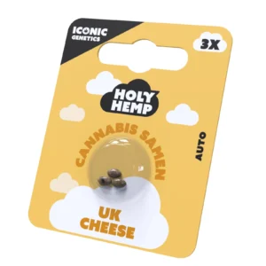 UK_Cheese_Cannabissamen_Frontansicht.webp