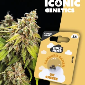 Iconic Genetics - UK Cheese (3 Cannabissamen)